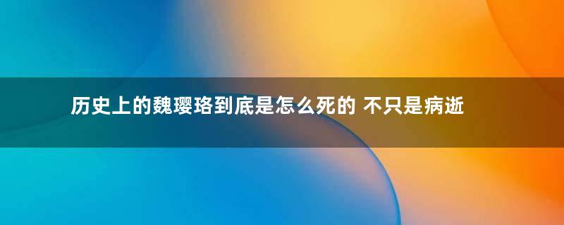 历史上的魏璎珞到底是怎么死的 不只是病逝怎么简单